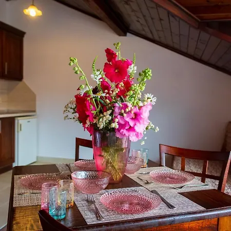 Grancharova Gasthuis 3*