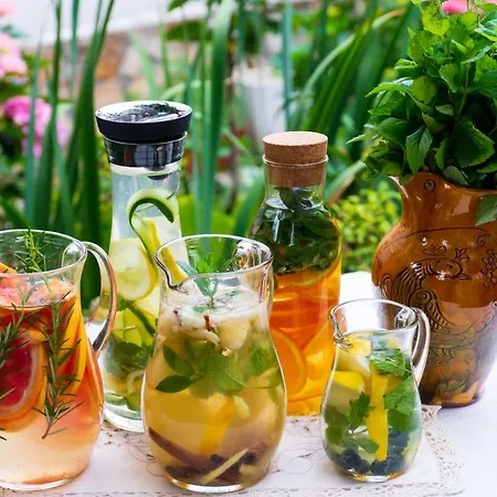 Gasthuis Grancharova