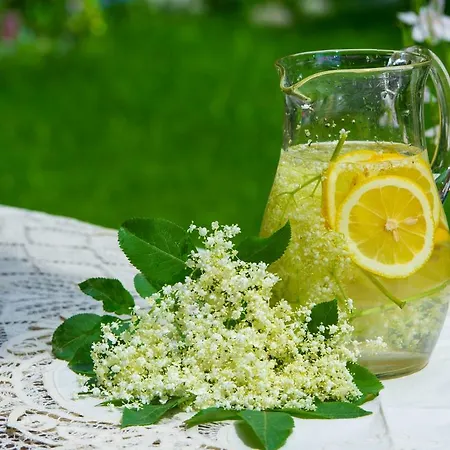 بيت ضيافة Grancharova 3*