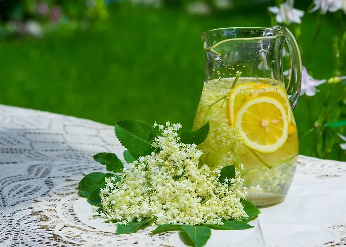 Vendégház Grancharova 3*