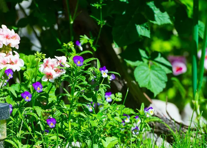 Grancharova Vendégház Banszko